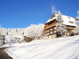 Bartleshof im Schnee