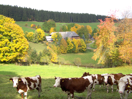 Bartleshof im Herbst