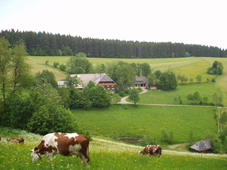 Bartleshof mit Muehle